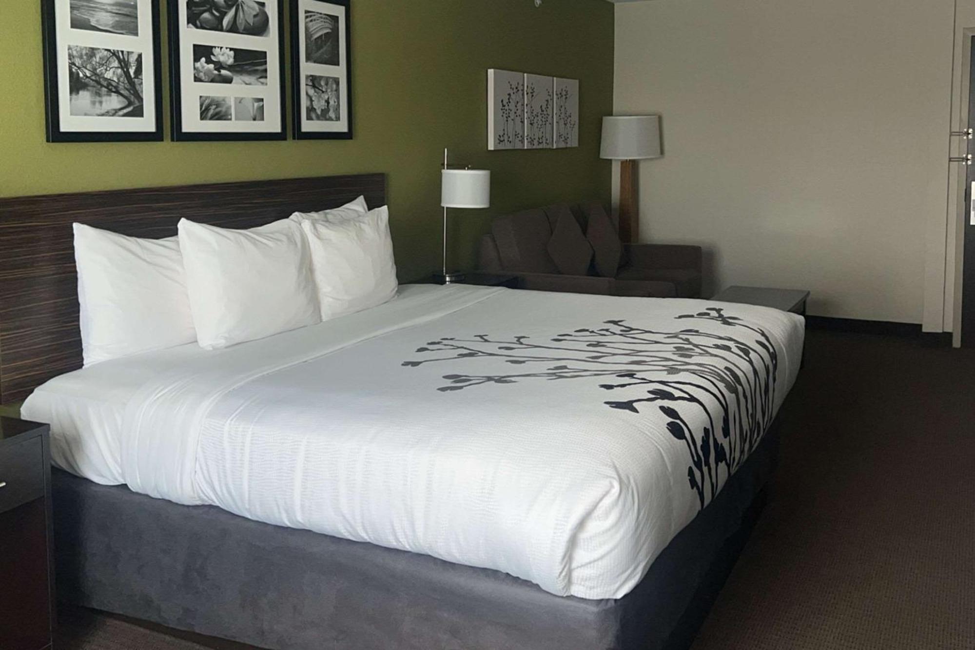 Sleep Inn & Suites Jourdanton - Pleasanton Exteriér fotografie